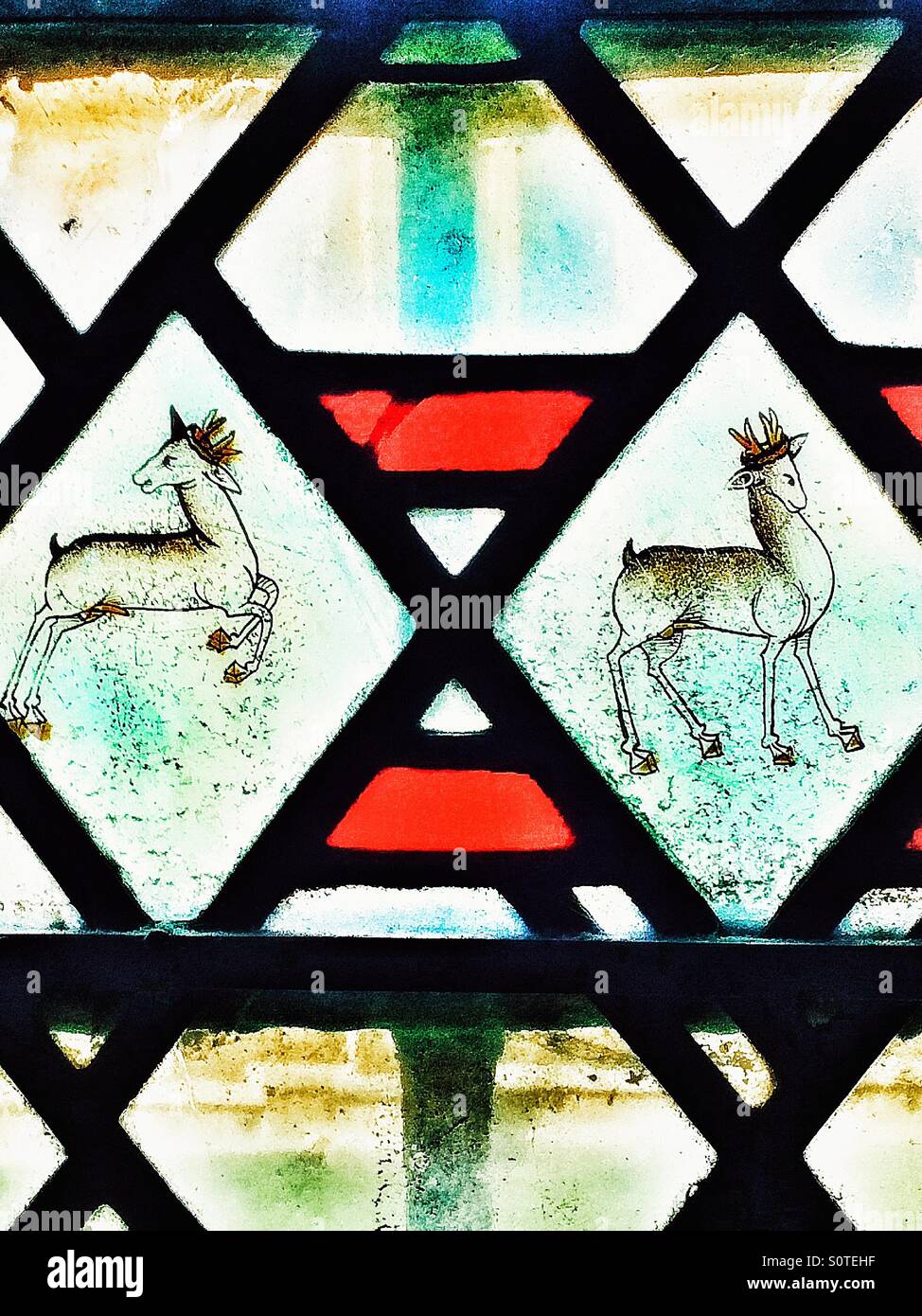 Stained glass - Smartphone Captured Stock Image
