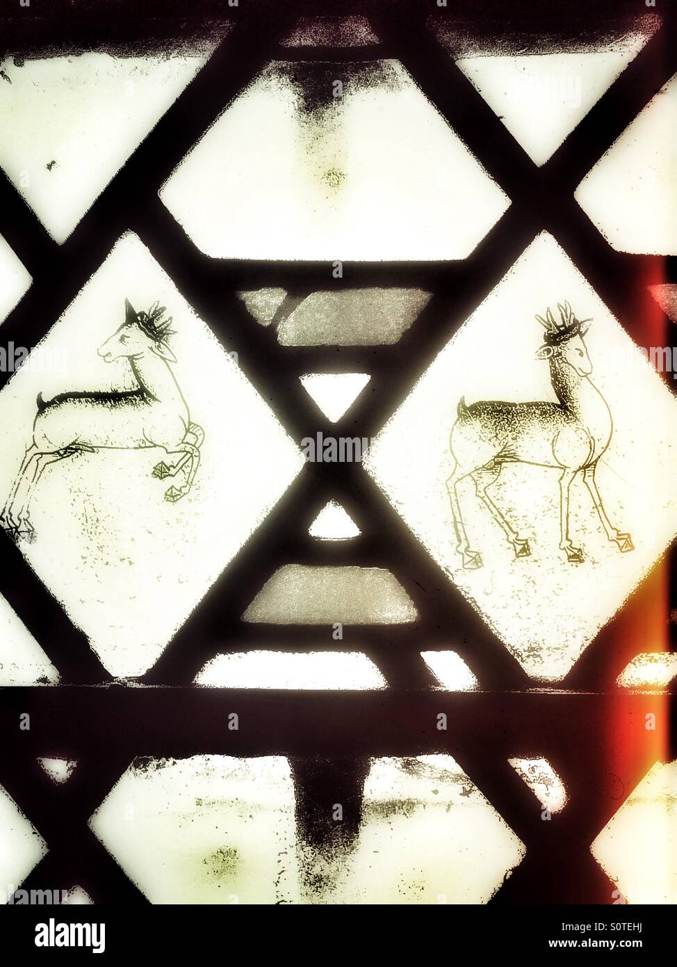 Stained glass animals - Smartphone Captured Stock Image