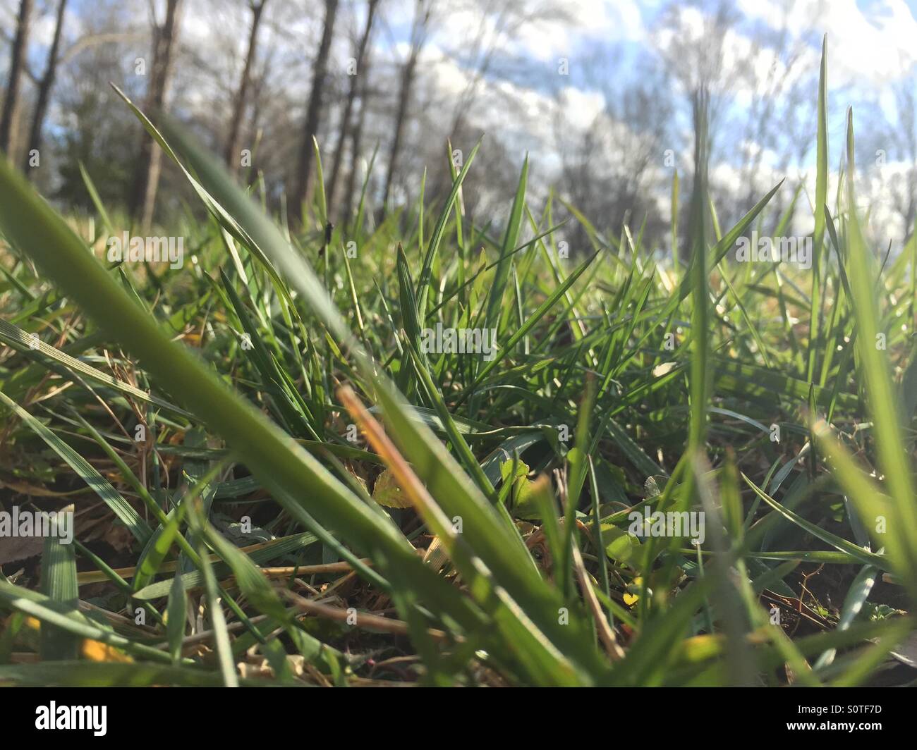 A bug's eye view Stock Photo Alamy