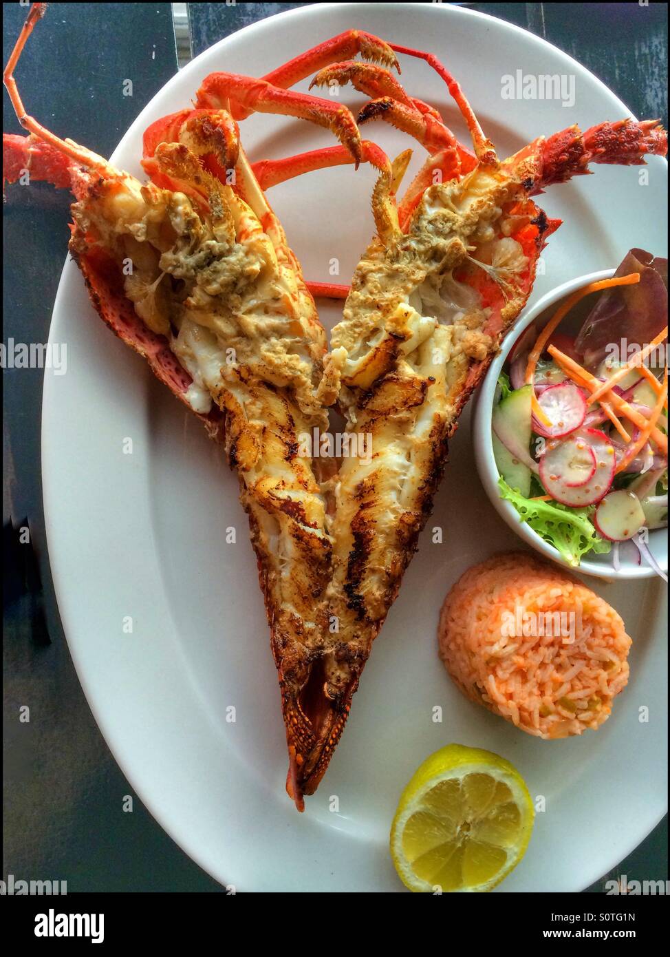 Cape rock lobster with rice and salad. - Smartphone Captured Stock Image
