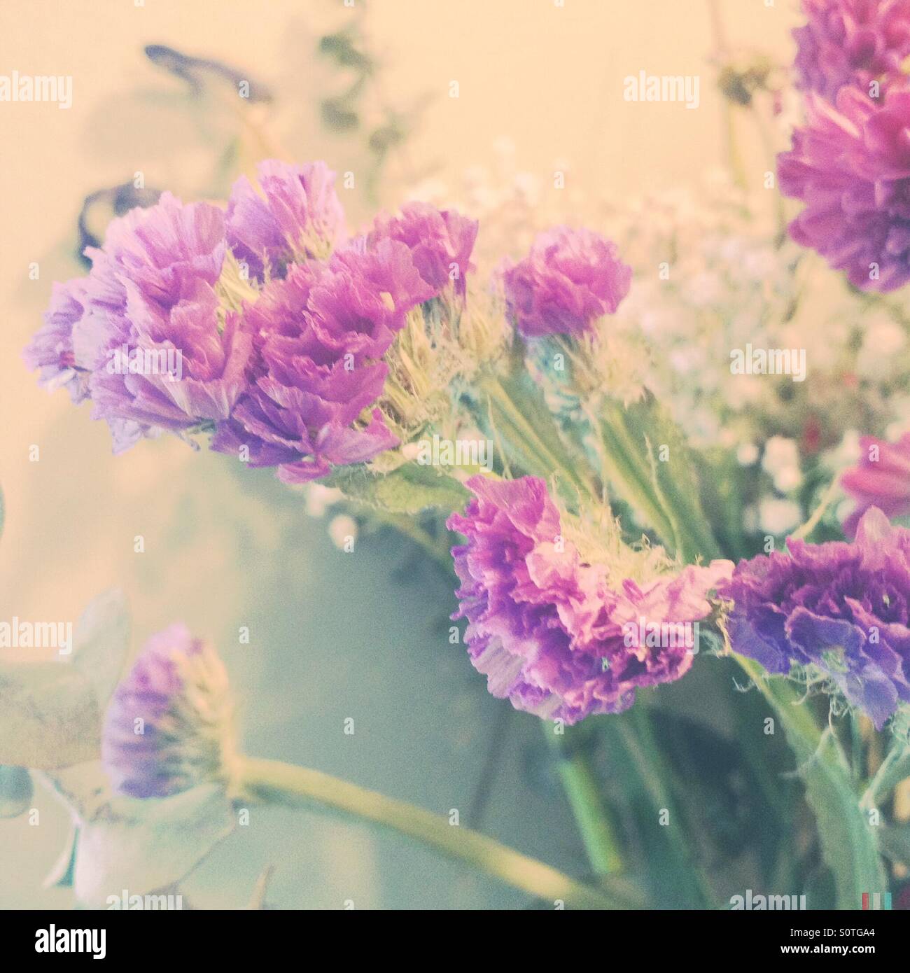 Soft pastel hi-res stock photography and images - Alamy