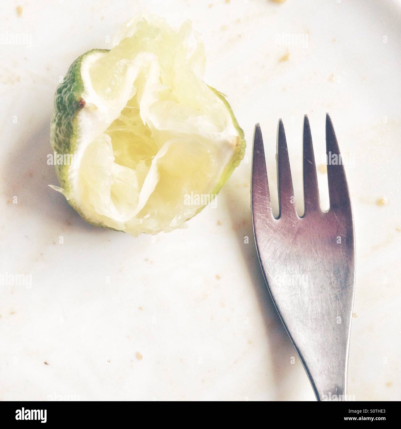 Lime - Smartphone Captured Stock Image