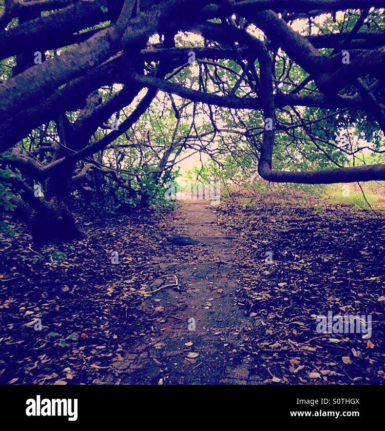 Magnificent Mother Nature - Sydney, Australia Stock Photo