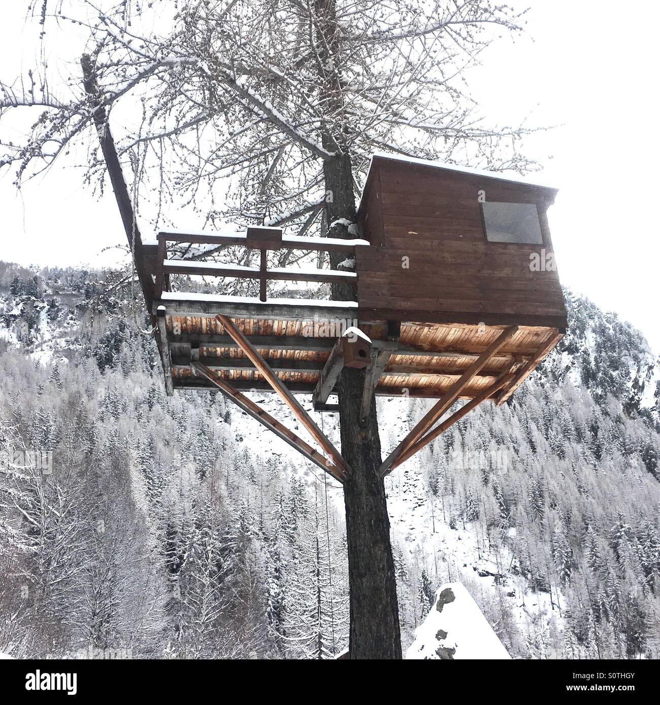 A tree house in winter - Smartphone Captured Stock Image