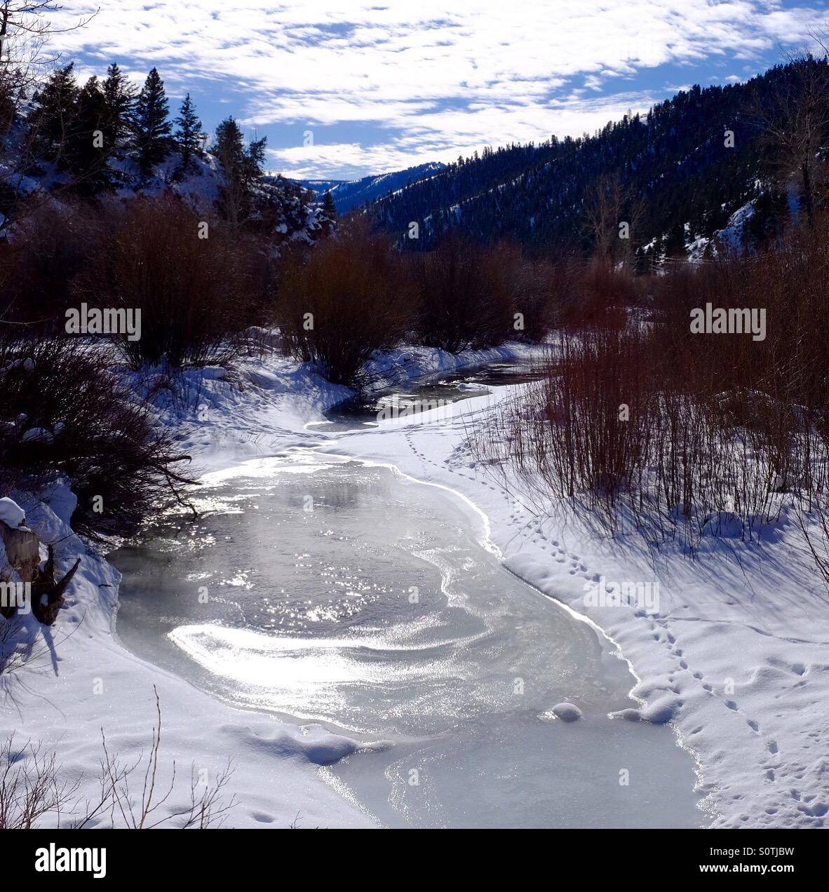 Creek bubbling to the surface through ice Stock Photo