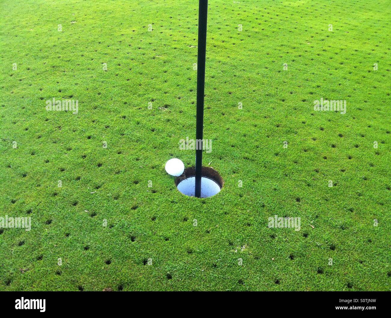 A golf ball plugged in the green right next to the hole on a par 3