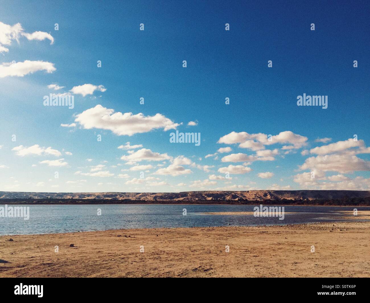 Oasis Egypt - Smartphone Captured Stock Image