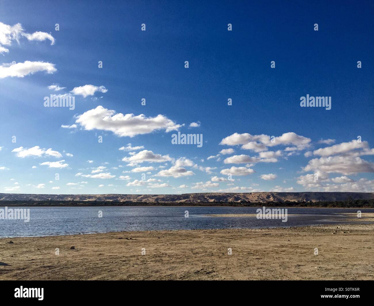 Oasis Egypt - Smartphone Captured Stock Image