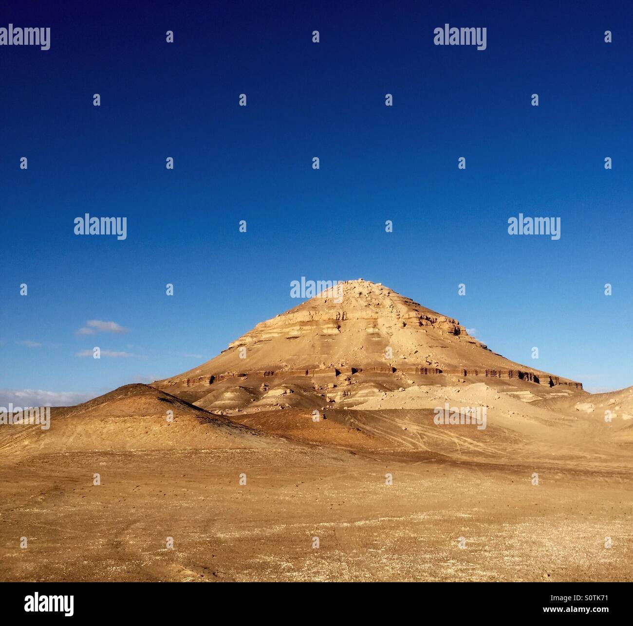 Nature in desert - Smartphone Captured Stock Image