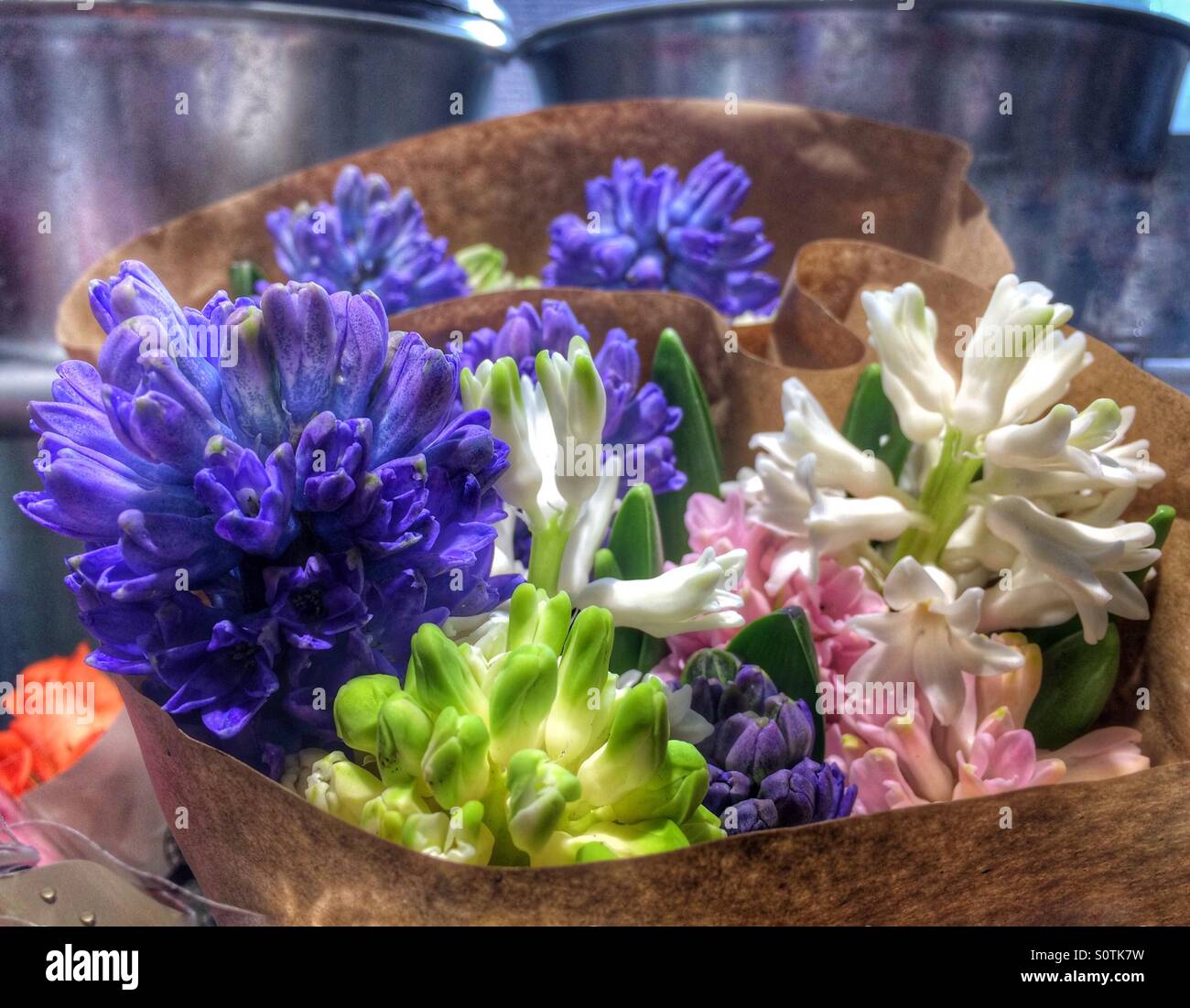 Bright Spring Hyacinths in a flower shop Stock Photo Alamy