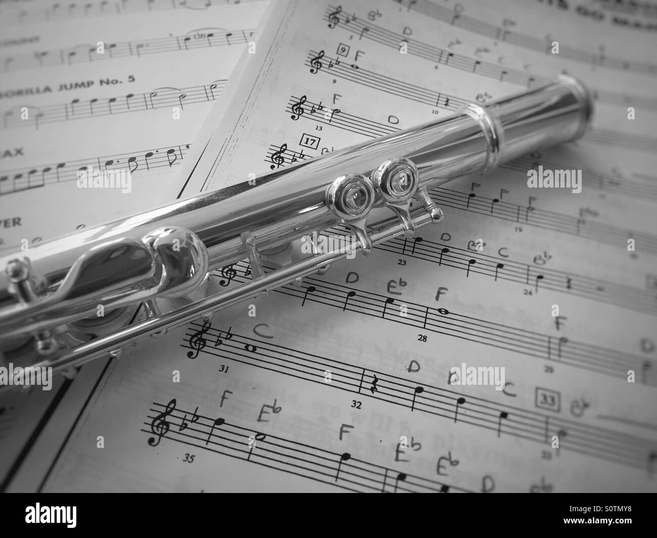 Flute on music notes in black and white Stock Photo
