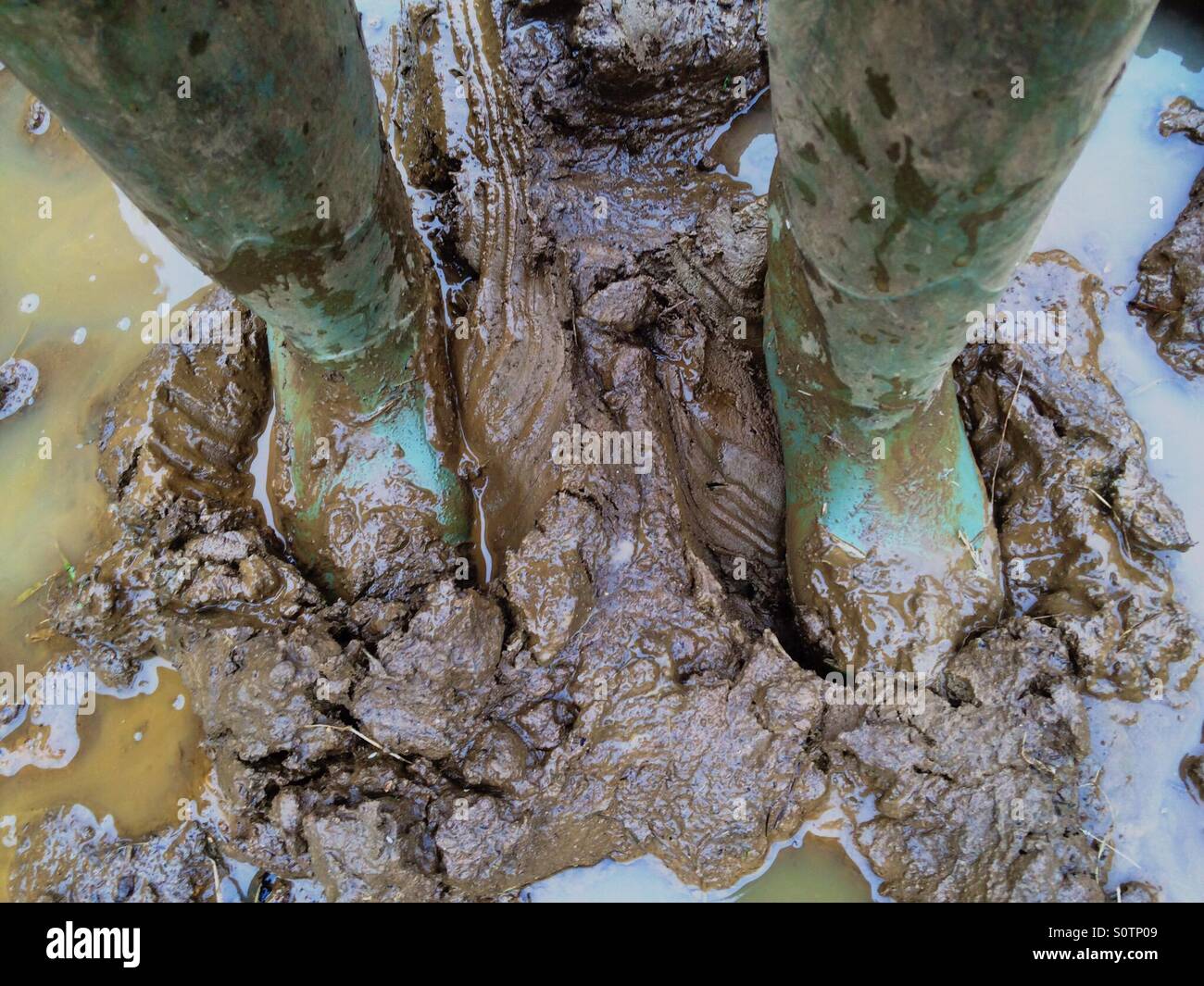 Mud stuck hi-res stock photography and images - Alamy