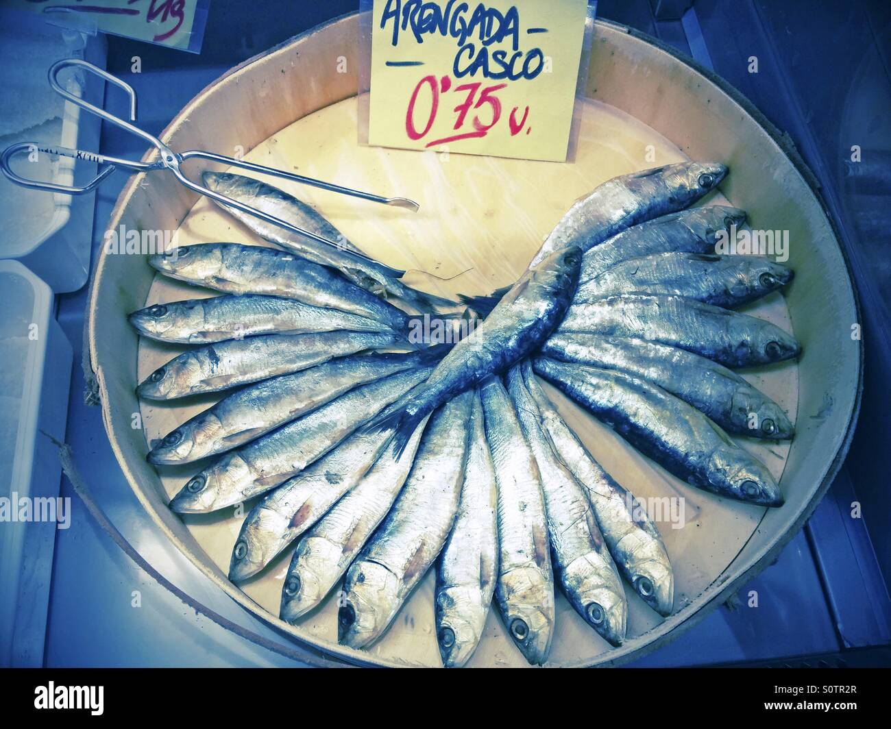 Herring fishes hires stock photography and images Alamy