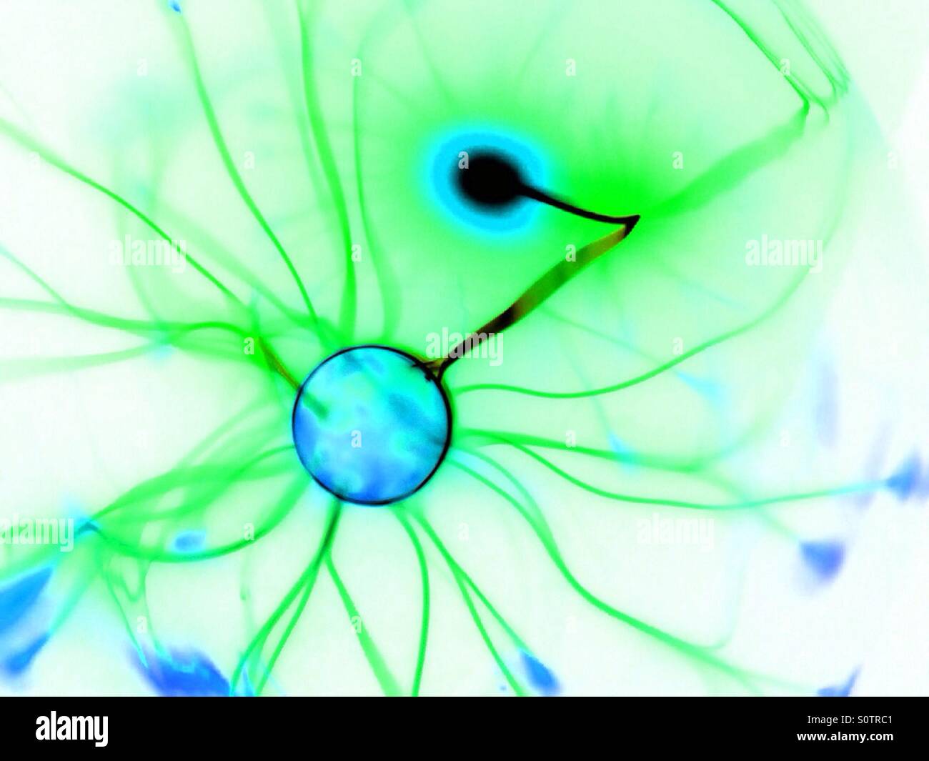 Plasma ball with colours inverted - Smartphone Captured Stock Image