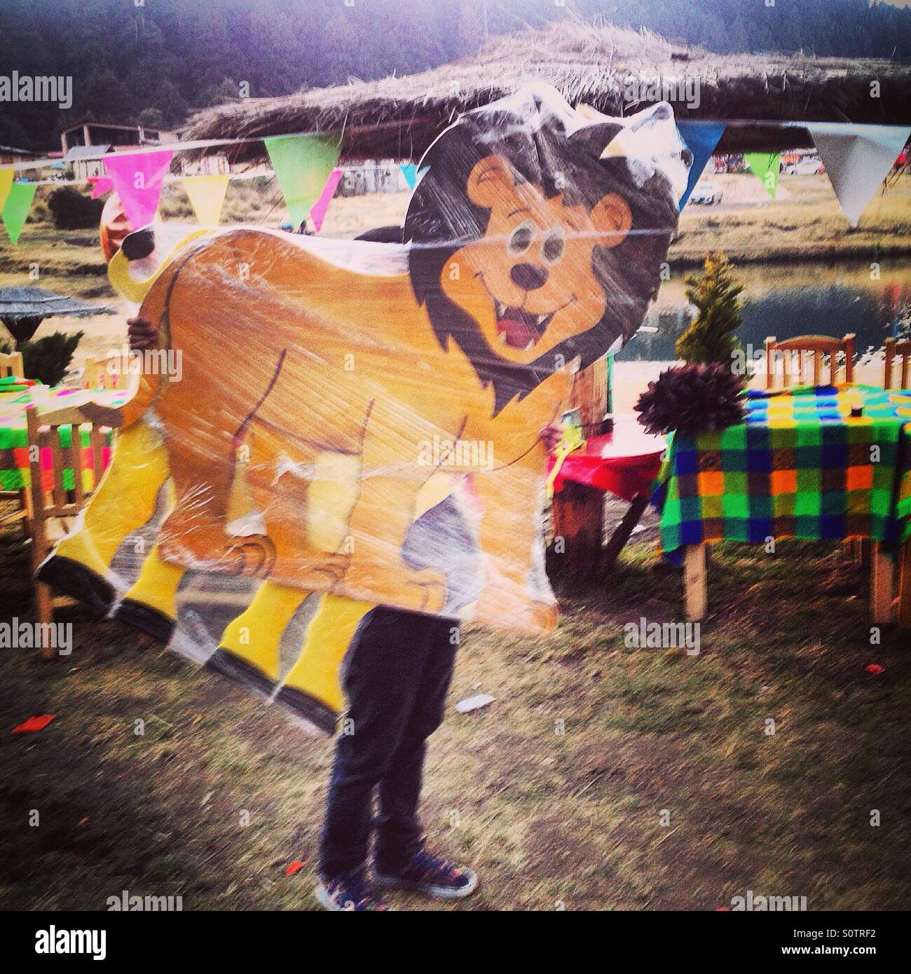 A man holds a cardboard lion in a park in Mexico. Lions are critically endangered due to hunting and the destruction of their natural habitats - Smartphone Captured Stock Image