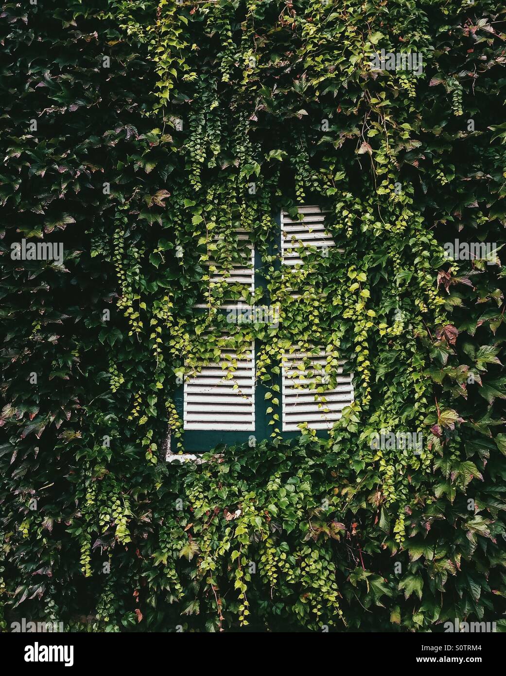 Man versus nature Stock Photo - Alamy