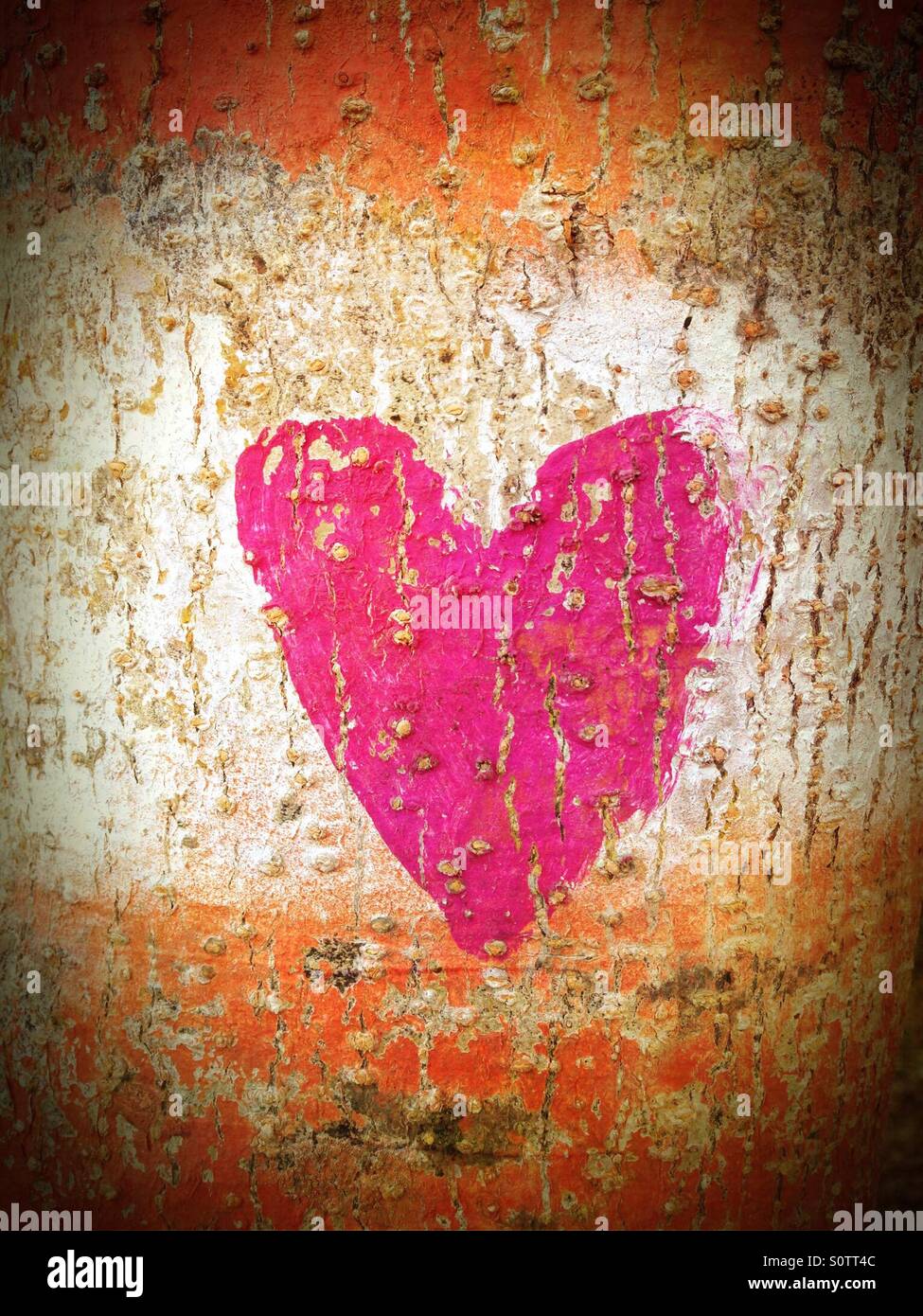Red heart painted on tree trunk. Sayulita, Riviera Nayarit, Mexico. Stock Photo