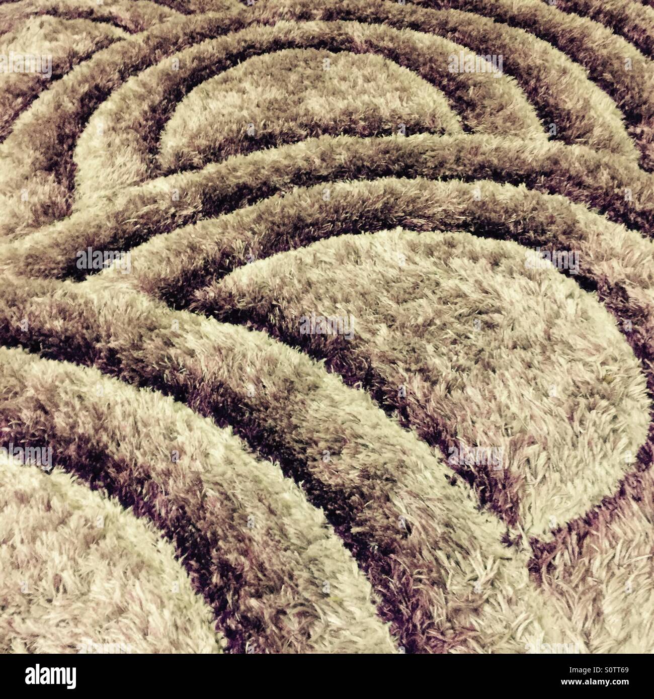 Simple cosy  comforts for heightening the senses- a fuzzy carpet. Stock Photo