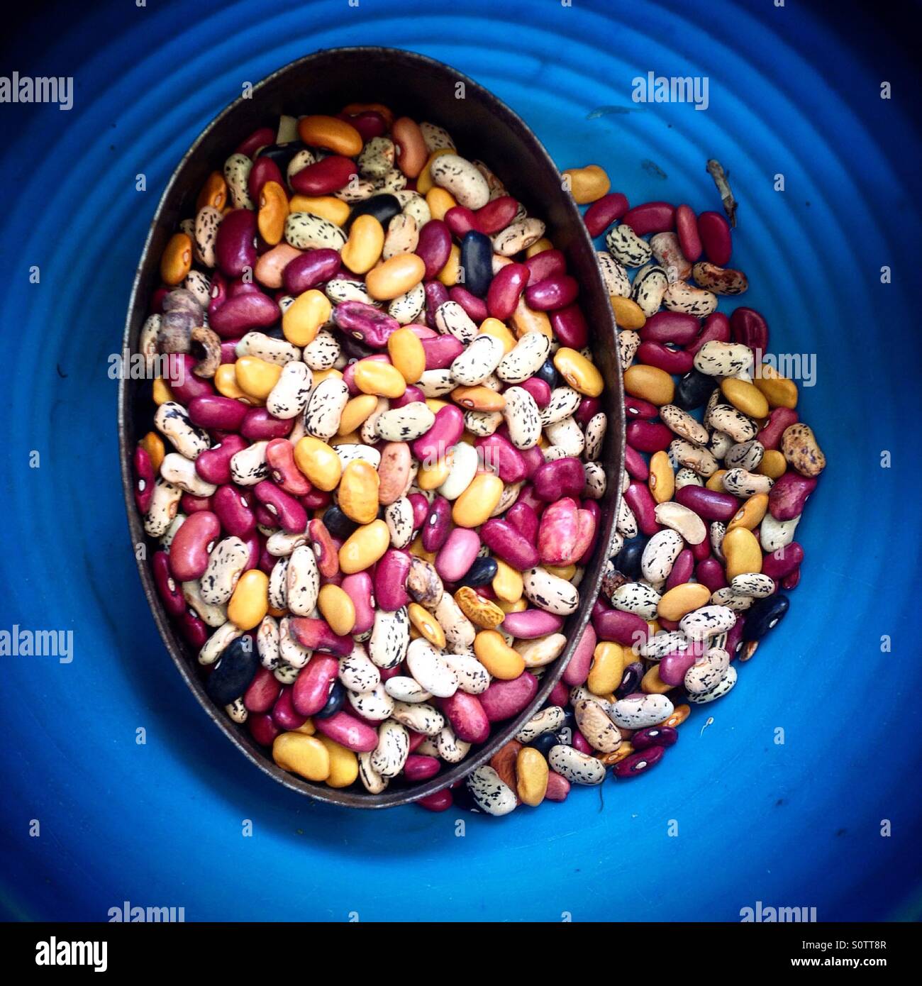 Colored beans for sale in the Foro Tianguis Alternativo in Colonia Roma, Mexico City, Mexico - Smartphone Captured Stock Image