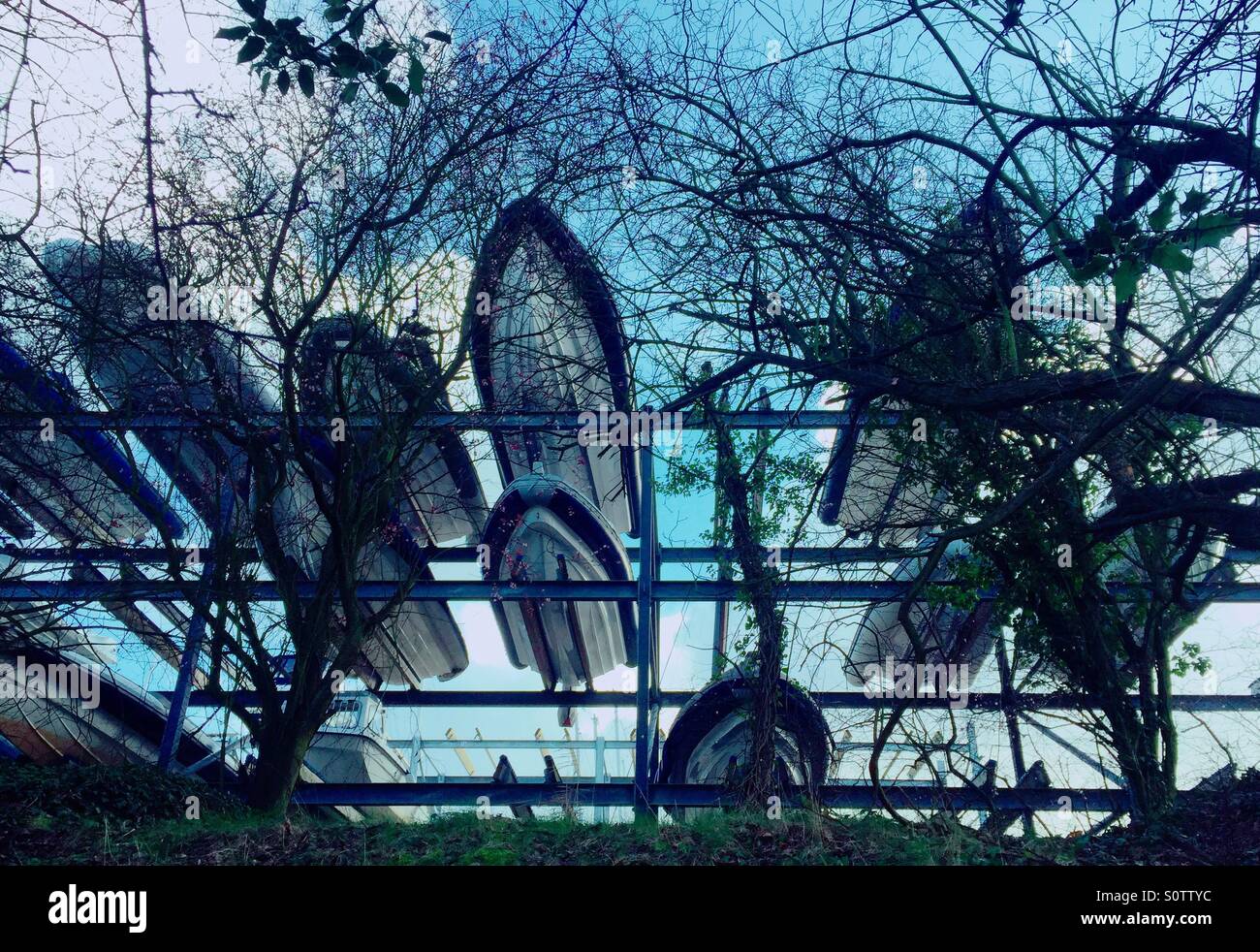 Boats in a tree - Smartphone Captured Stock Image