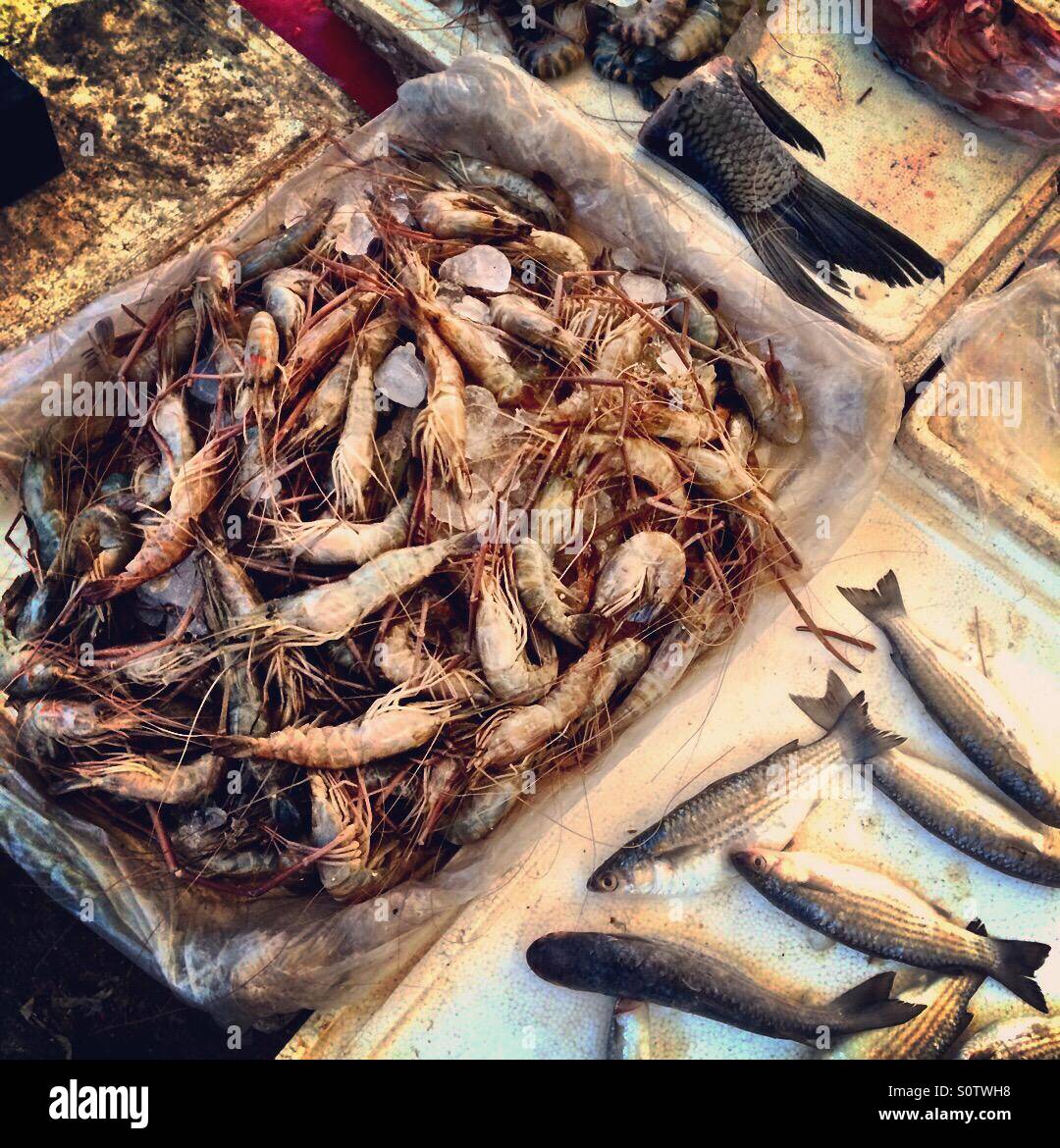 Fish market on India Stock Photo