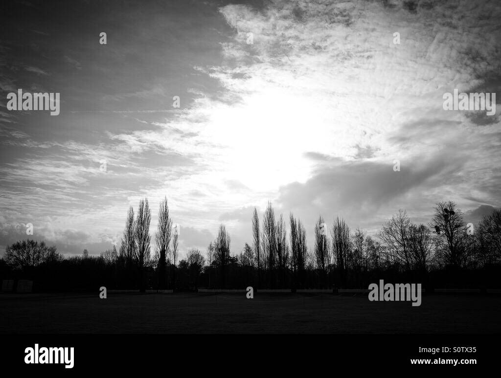 Bright skies - Smartphone Captured Stock Image