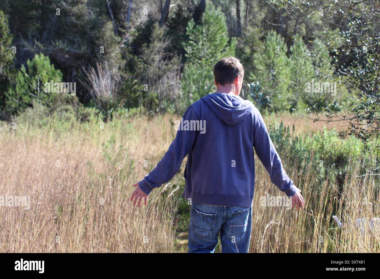 Man walking in a field Stock Photo