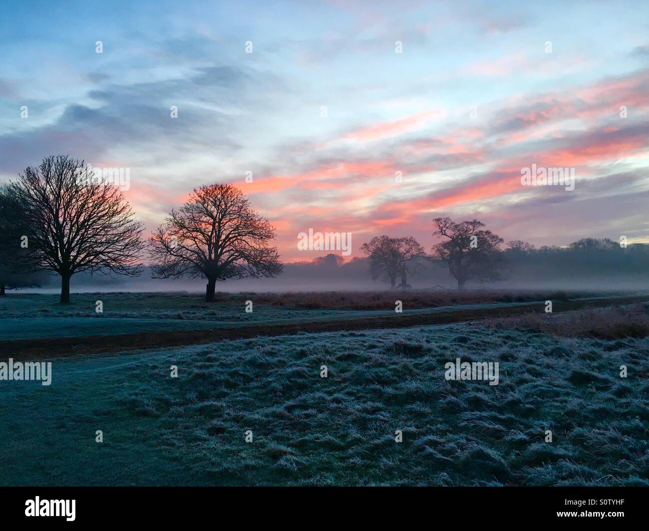 Freezing red - Smartphone Captured Stock Image
