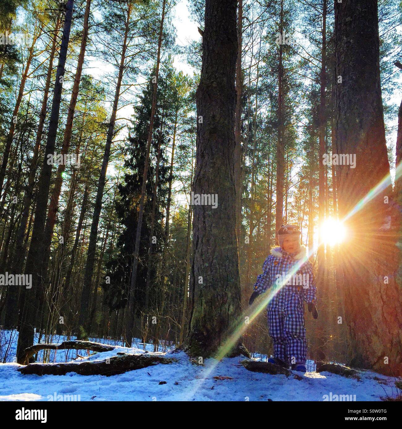 child playing in the woods in wintertime Stock Photo
