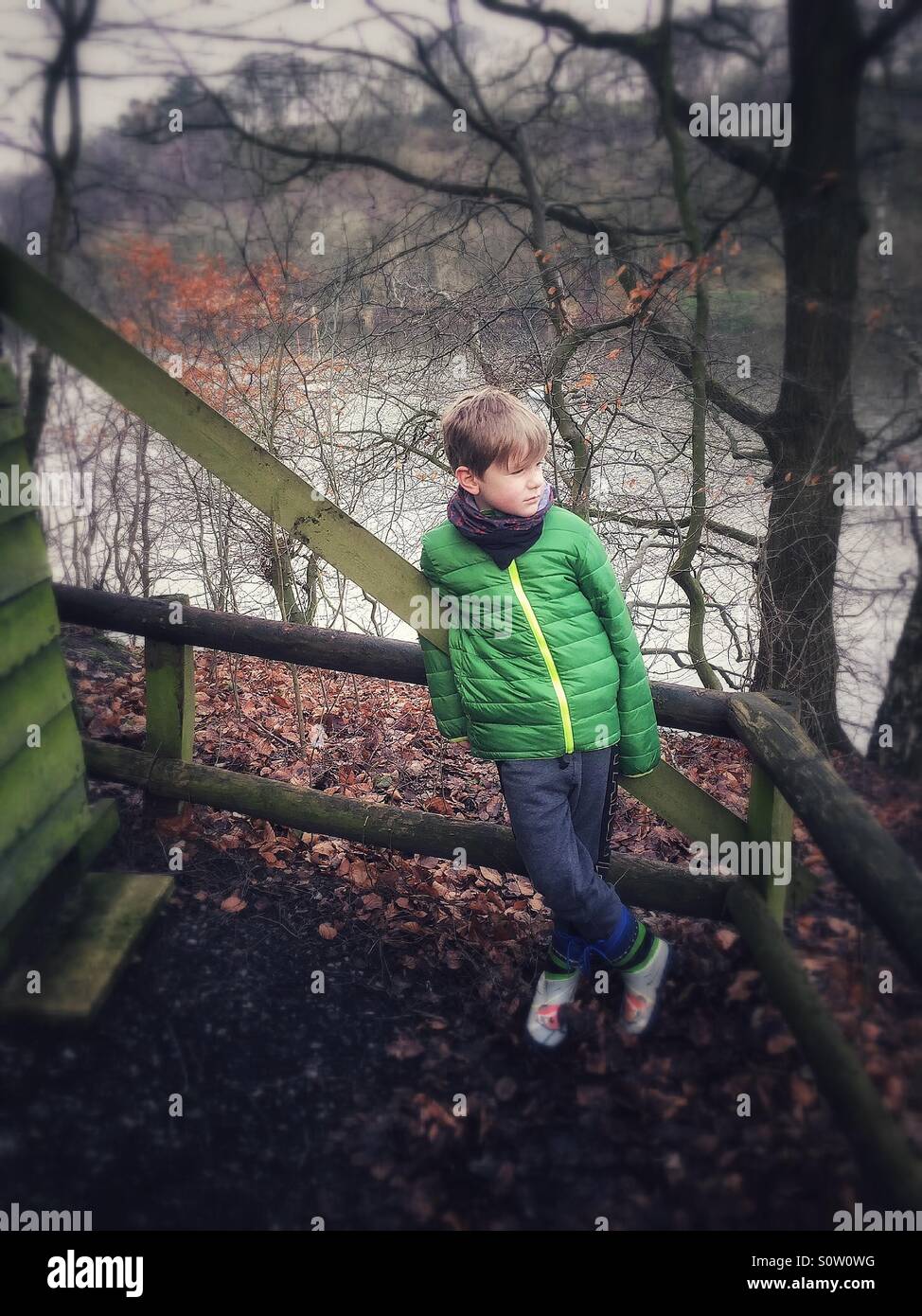 Boy looking at a view of a lake from the woods Stock Photo