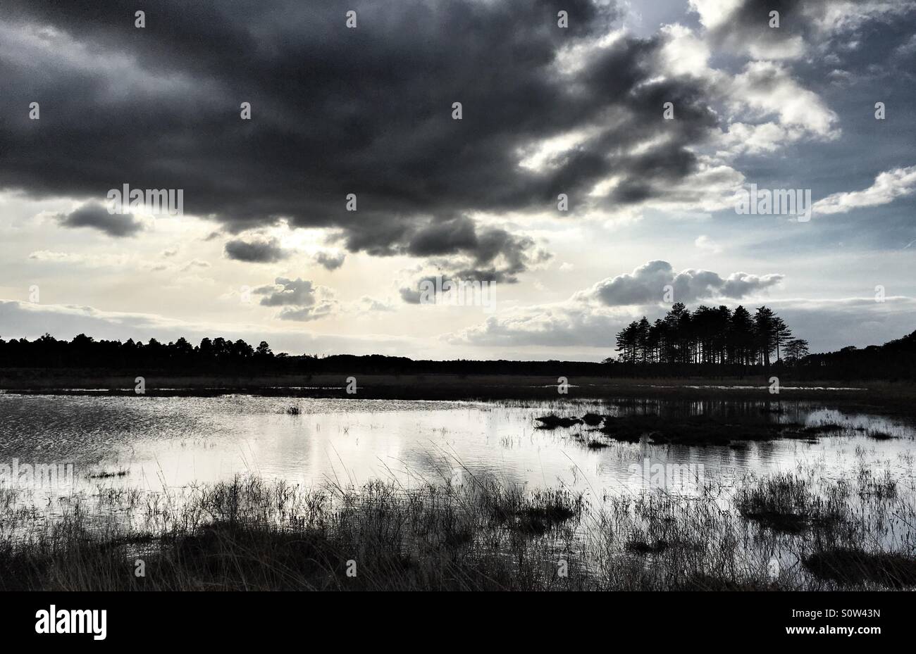 Dramatic lake in winter - Smartphone Captured Stock Image