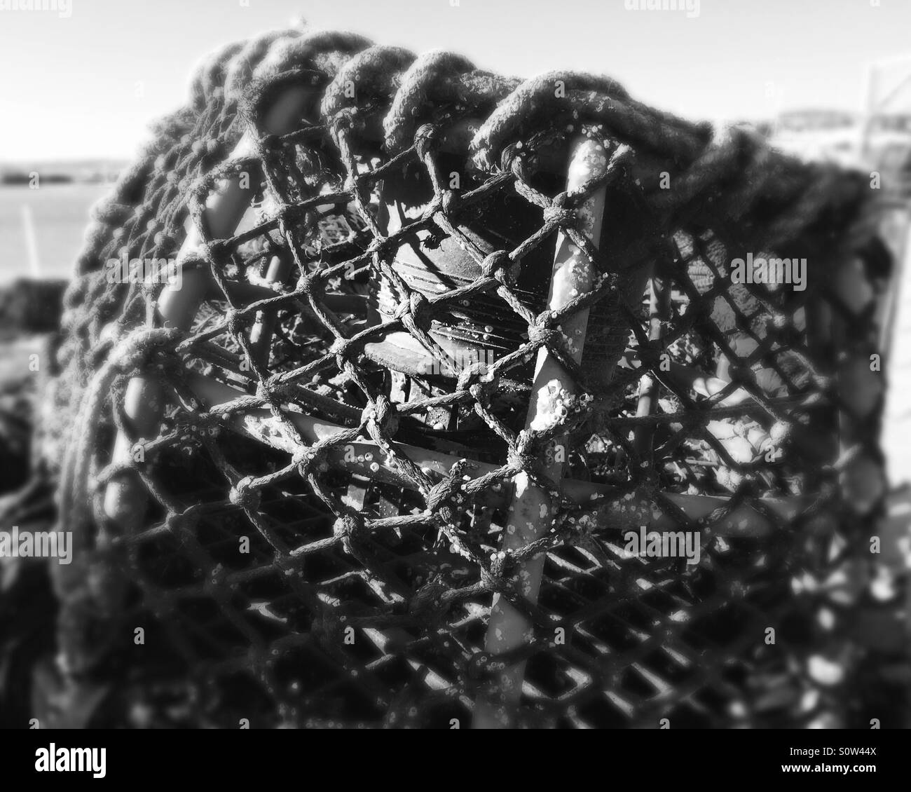Crab pots on Torquay harbourside Stock Photo Alamy