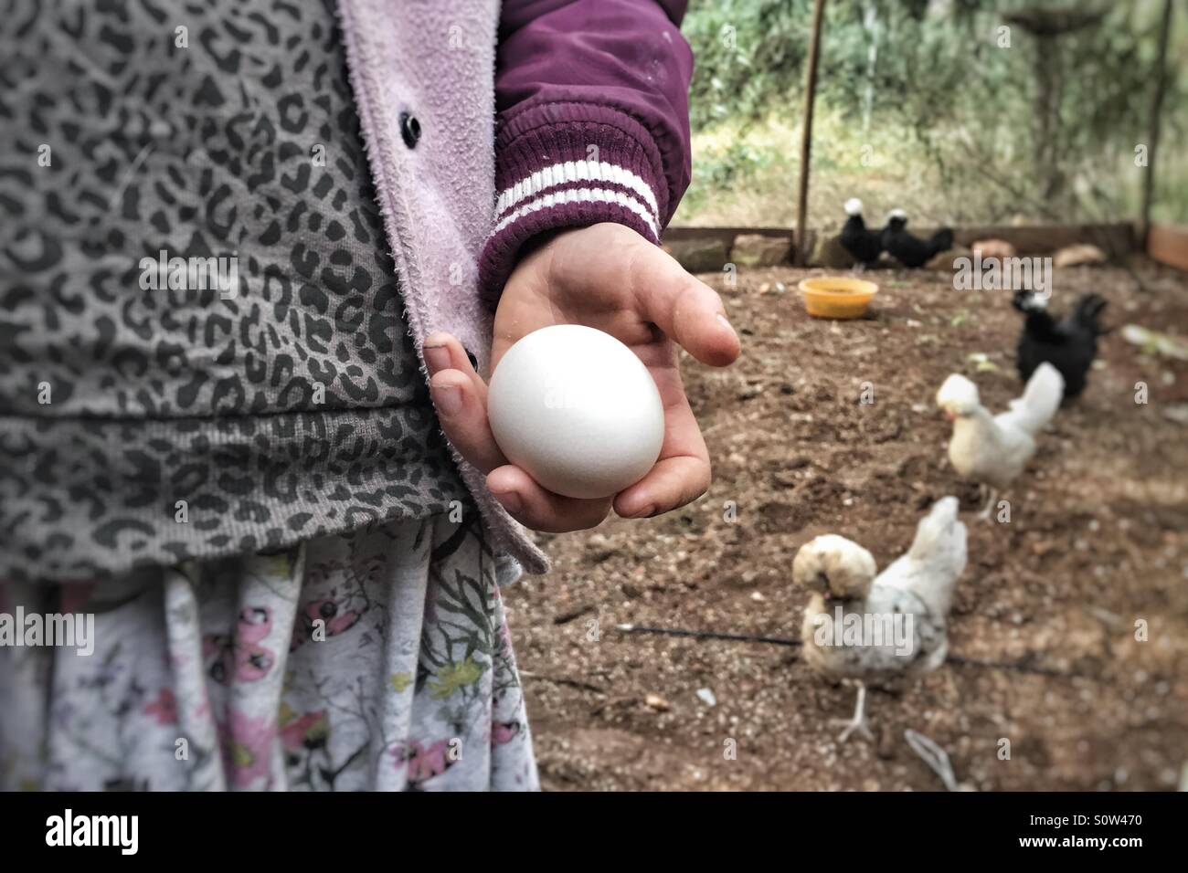 Girl holding a fresh egg Stock Photo