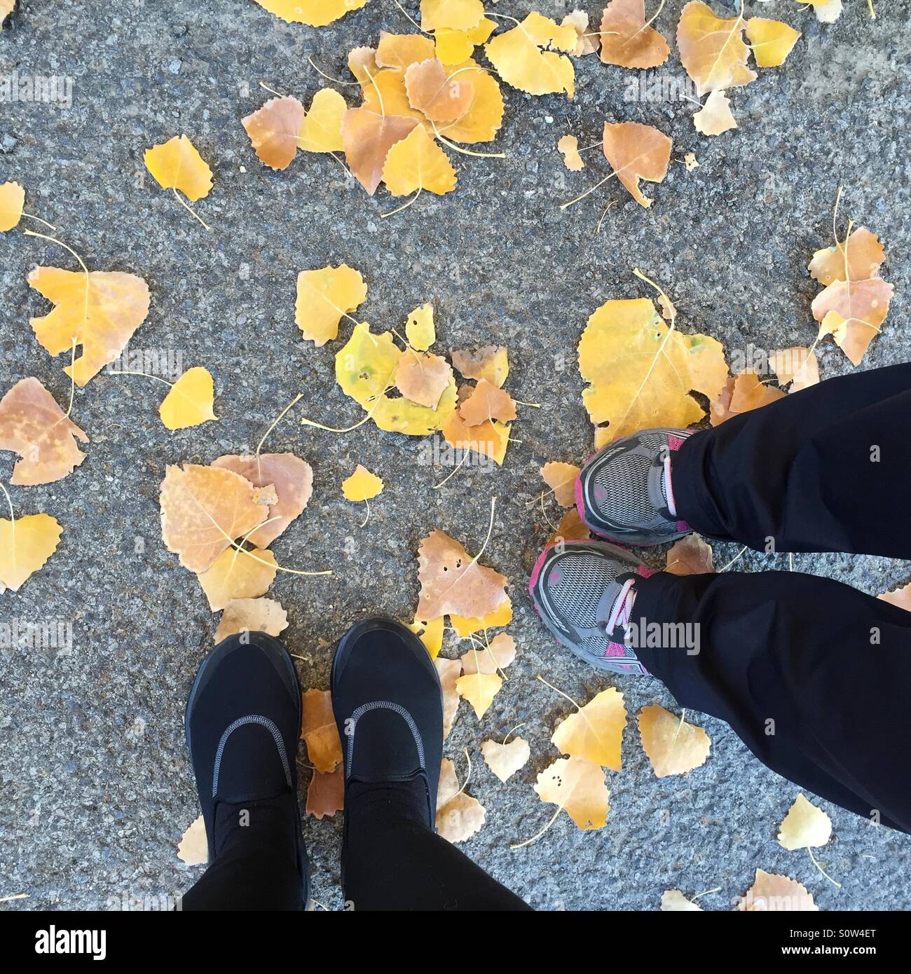 Looking down to two pairs of feet standing on asphalt covered with yellow leaves. Stock Photo