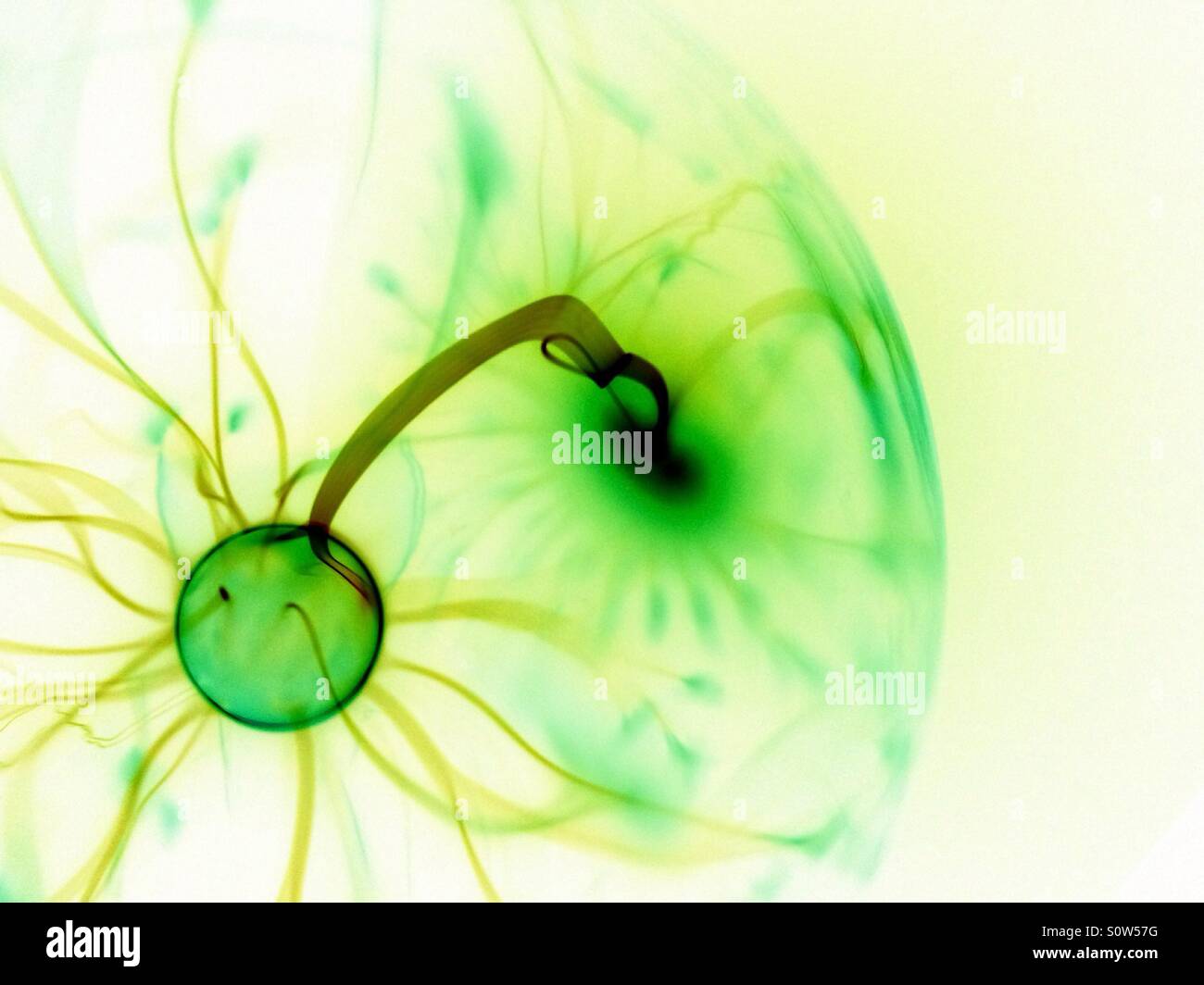 Colour inverted plasma ball - Smartphone Captured Stock Image