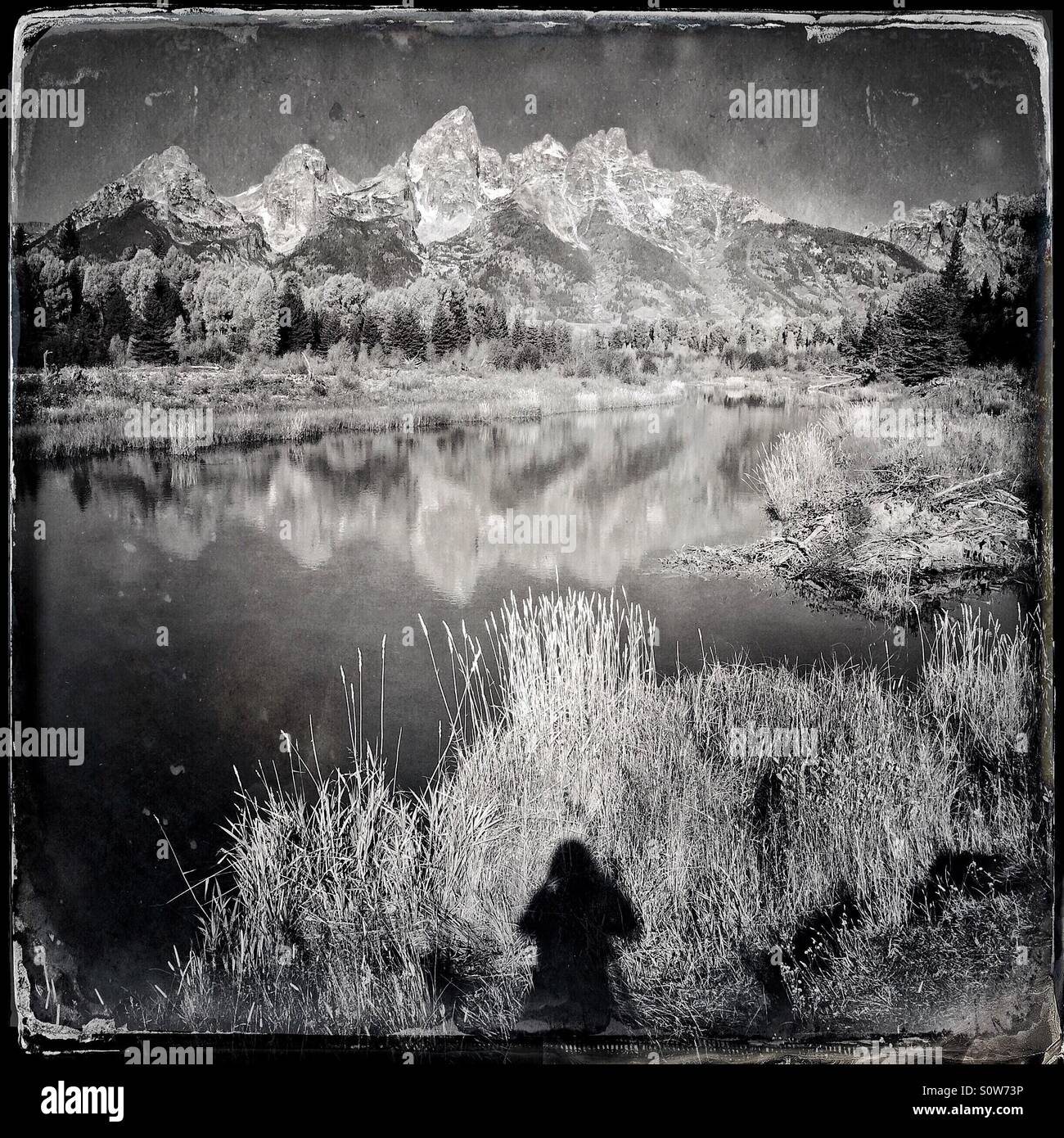 Black and white image with shadow of photographer at Schwabacher's Landing, Grand Teton National Park, Wyoming with vintage tintype treatment. - Smartphone Captured Stock Image