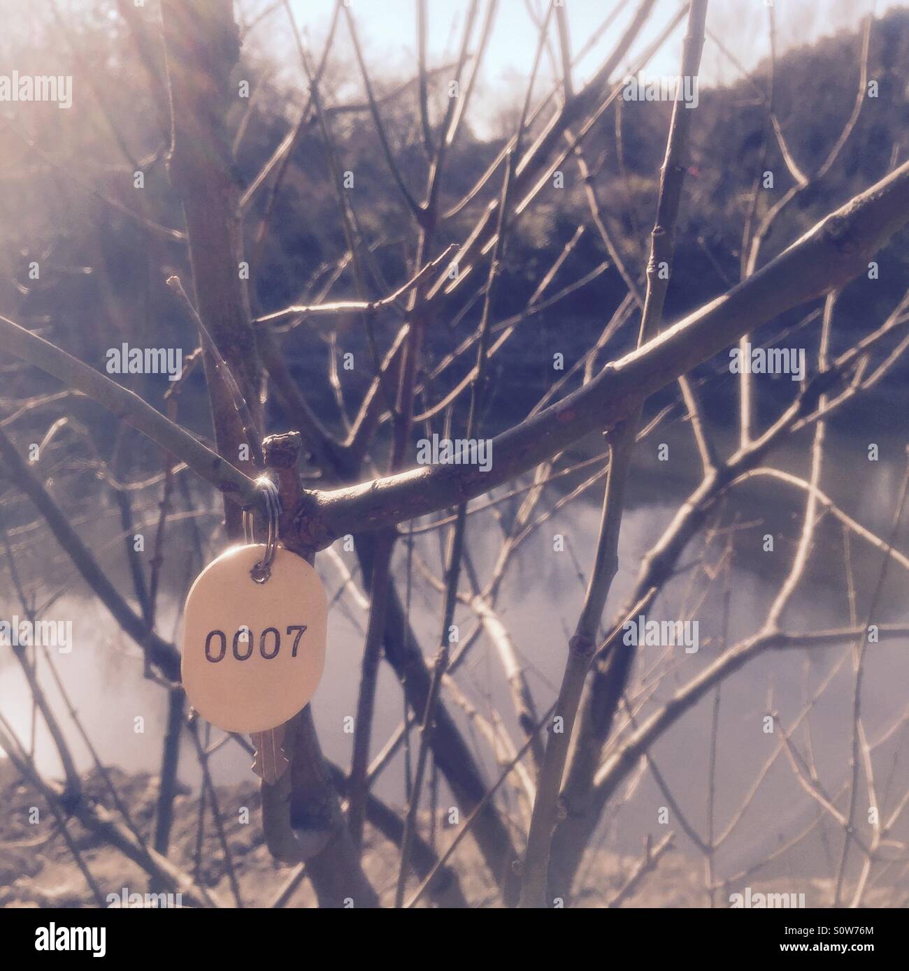 A stainless steel key on simple white oval keychain with the numbers 0007, hanging on a tree branch by the pond in winter. Vintage film tone. Stock Photo