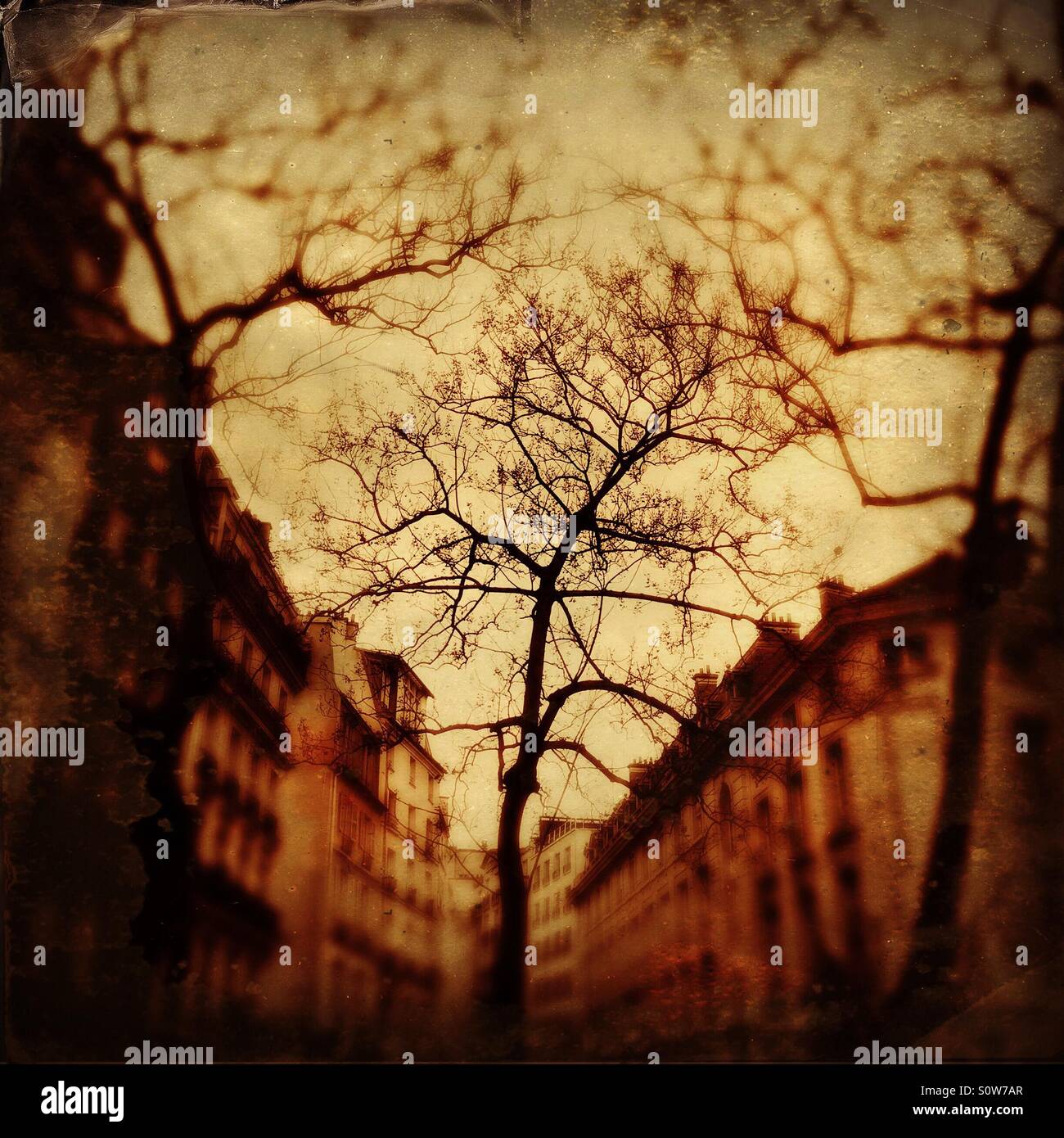 Parisian neighborhood on a winter day - Smartphone Captured Stock Image