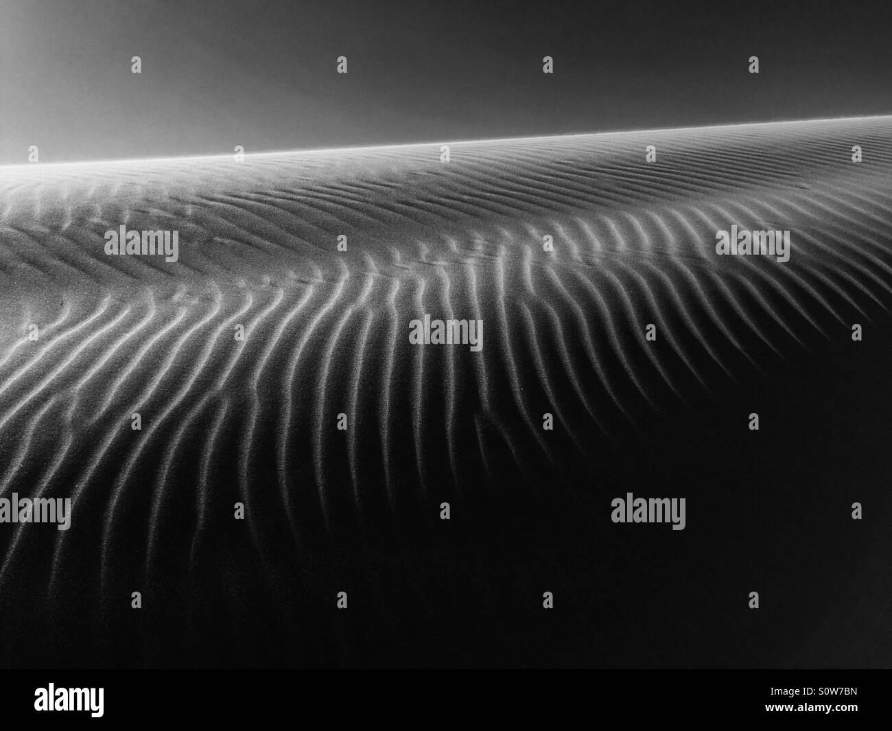 Dune at Delta del Ebro, Spain - Smartphone Captured Stock Image