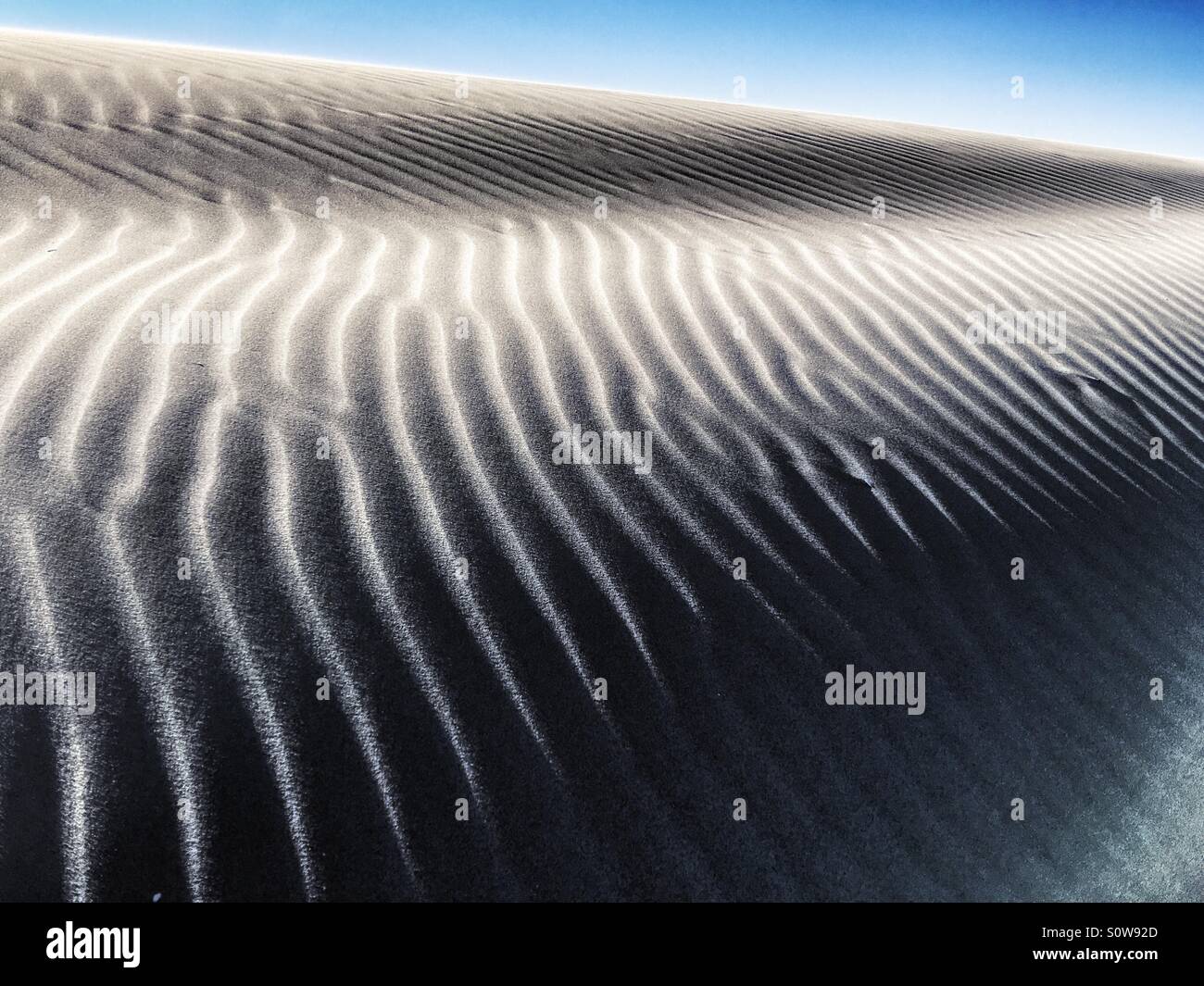 Dune at Delta del Ebro, Spain - Smartphone Captured Stock Image