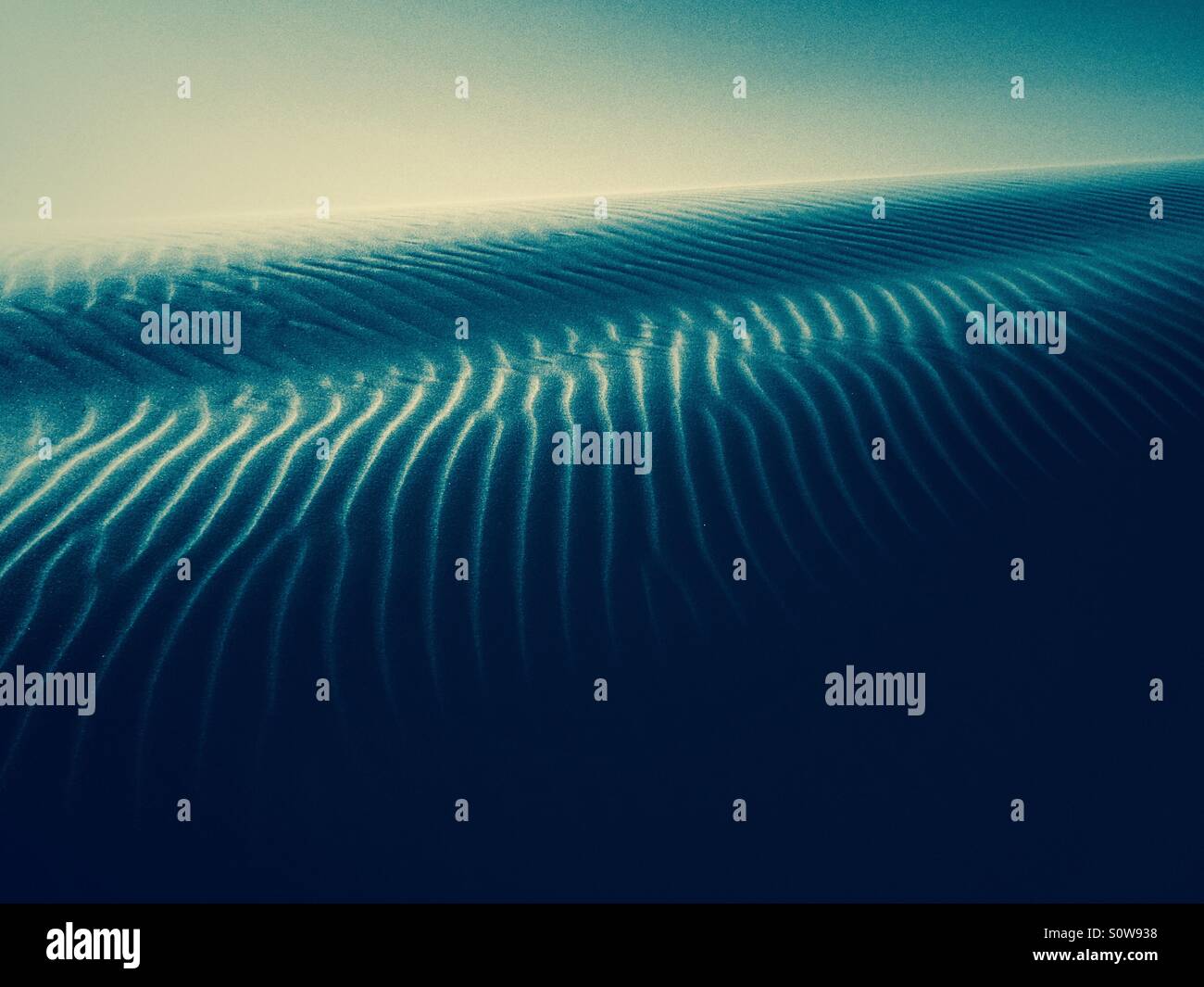 Dunes at Delta del Ebro - Smartphone Captured Stock Image