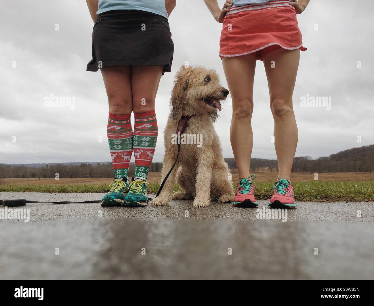 Two runner girls and a fluffy mutt Stock Photo
