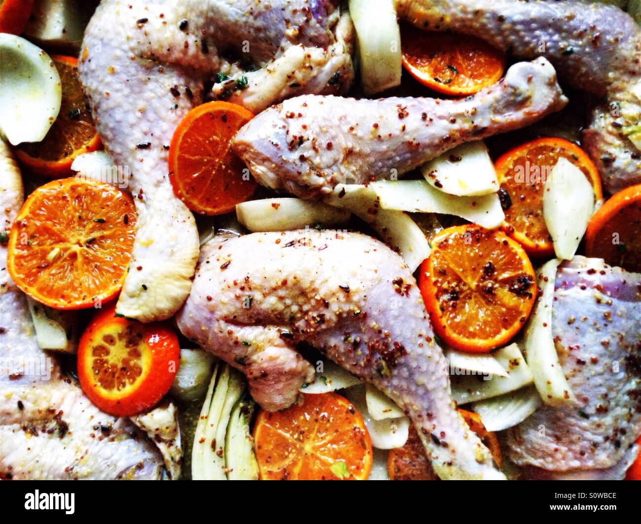 Marinated organic chicken with fennel and clementine slices in a baking pan - Smartphone Captured Stock Image