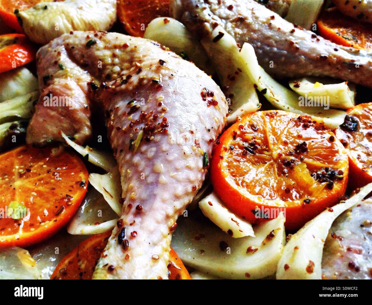 Marinated organic chicken with fennel and clementine slices in a baking pan - Smartphone Captured Stock Image