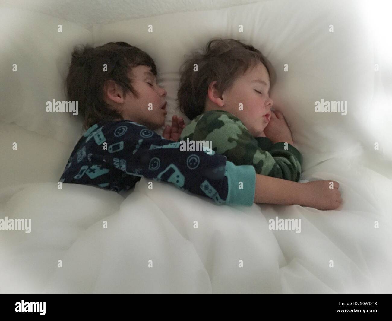 Toddler brothers sleeping together Stock Photo Alamy