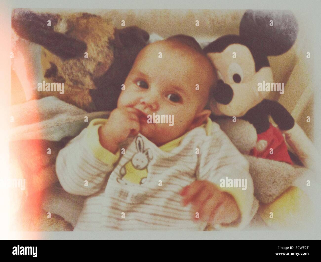 soft toys for 1 year baby boy