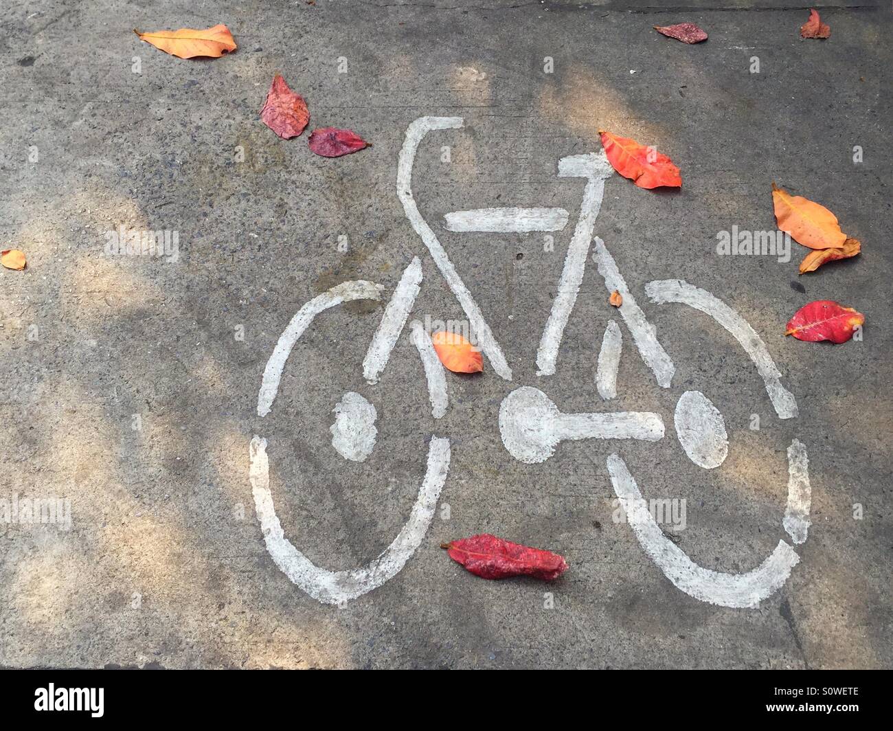 Cycline lane sign surrounded by fallen leaves Stock Photo