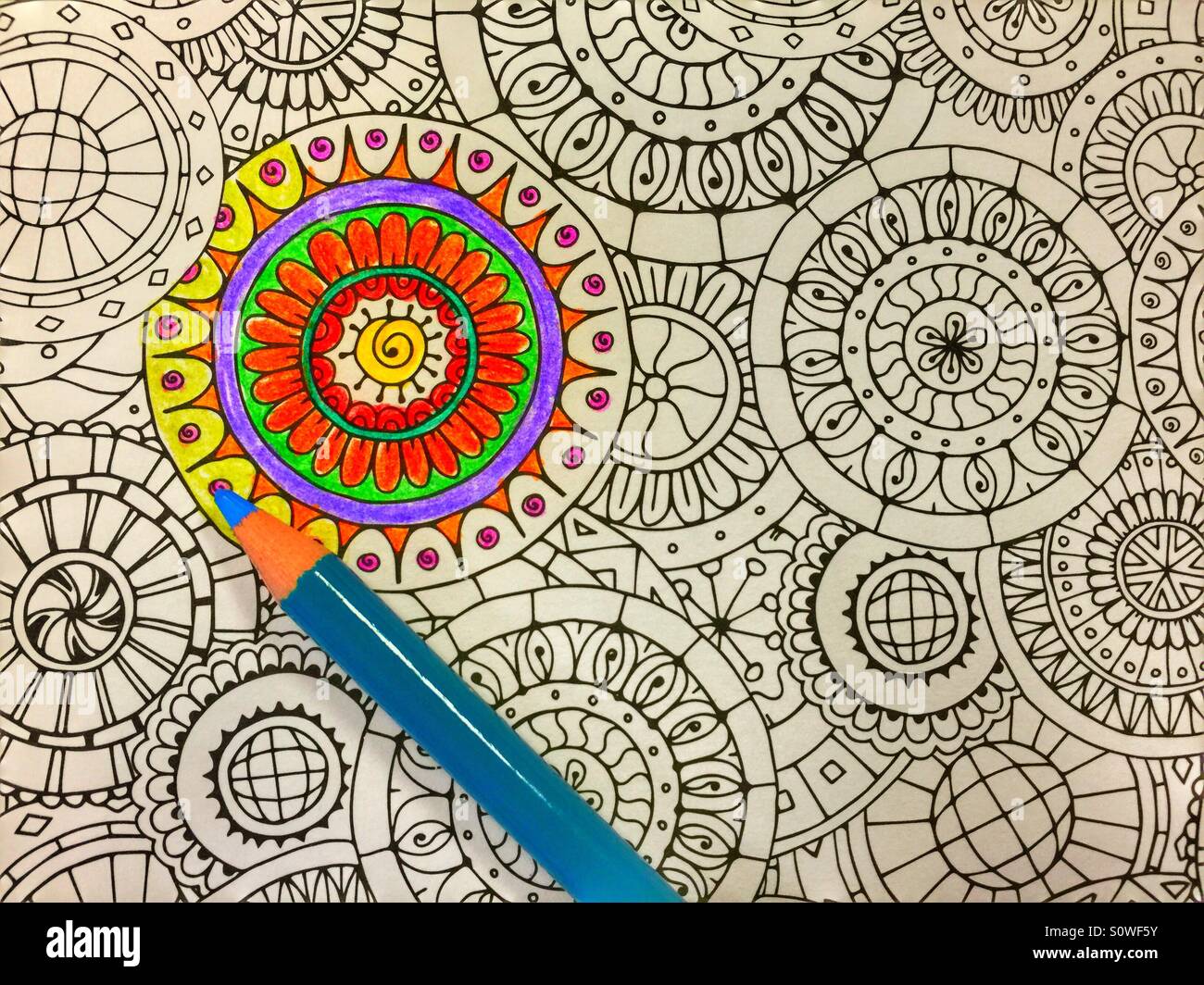 Adult Coloring Stock Photo