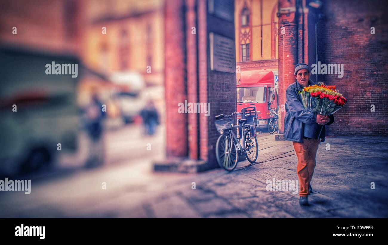 Fresh flowers - Smartphone Captured Stock Image