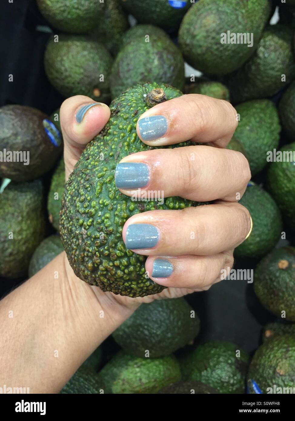 Hand holding avocado Stock Photo